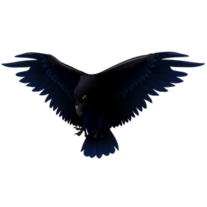 Raven PNG-71465